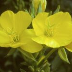 Okanagan Valley Discovery Tour - The Practical Details