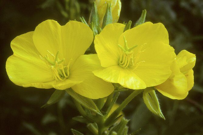 Okanagan Valley Discovery Tour - The Practical Details