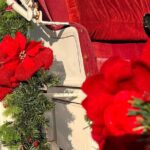 Old fashioned Horse Drawn Caroling Tour - Authentic Experiences and Unique Touches