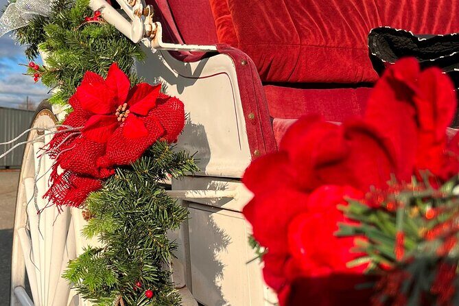 Old fashioned Horse Drawn Caroling Tour - Authentic Experiences and Unique Touches