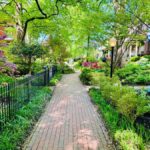 Old Louisville: History and Architecture Walking Tour - The Value of the Experience