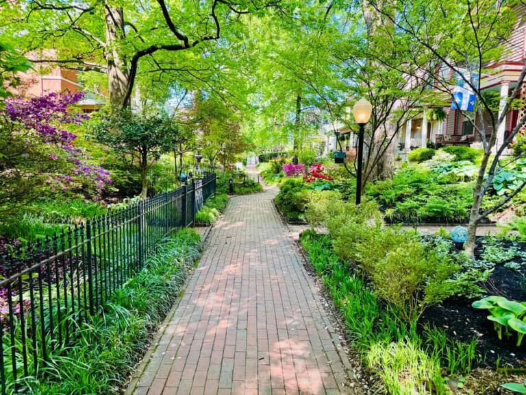 Old Louisville: History and Architecture Walking Tour - The Value of the Experience