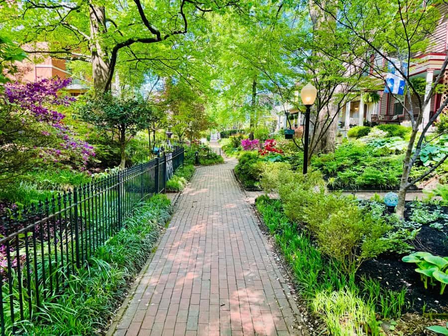 Old Louisville: History and Architecture Walking Tour - The Value of the Experience