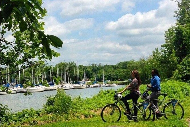 Old Town Alexandria to Mount Vernon Bike Rentals - Why Choose This Bike Rental?