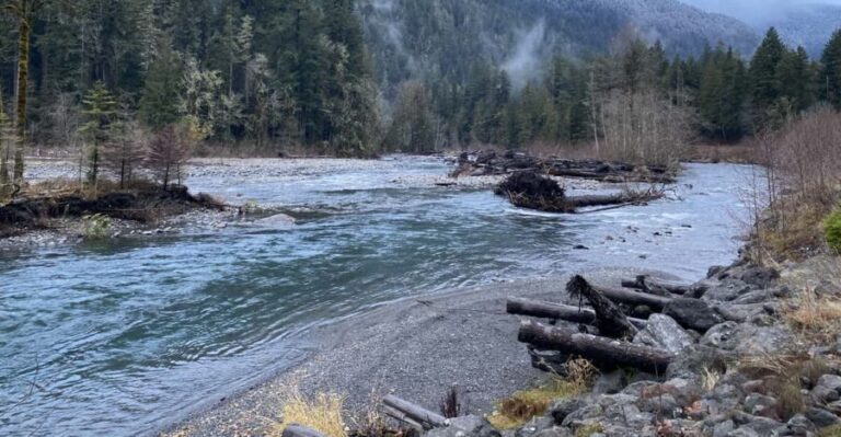 Olympic National Park: Half-Day Tour - The Itinerary Breakdown