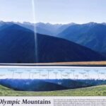 Olympic National Park Small Group Day Tour w/ State Ferries - What to Expect