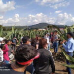 One day tour from Mexico City to Firefly Sanctuary - The Value of the Tour