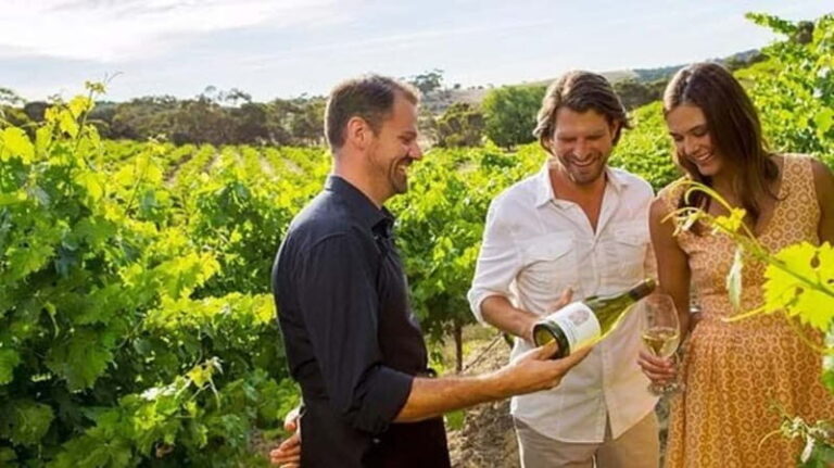 Ontario: Afternoon Wine Tour and Cheese Pairing - Why This Tour Works