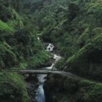 Open-Air! Road to Hana Jungle Adventure Tour! (5.5 Hours) - Who Should Take This Tour?