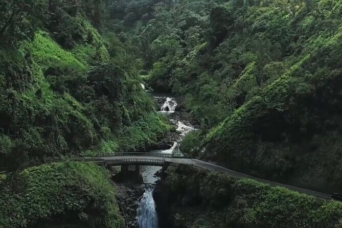 Open-Air! Road to Hana Jungle Adventure Tour! (5.5 Hours) - Who Should Take This Tour?