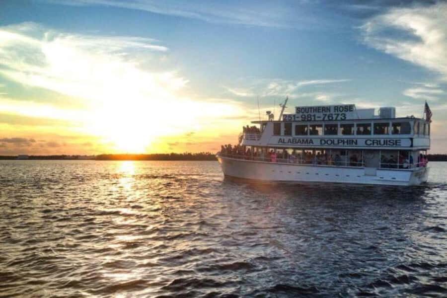 Orange Beach: Dolphin Cruise - Who Will Love This Tour?