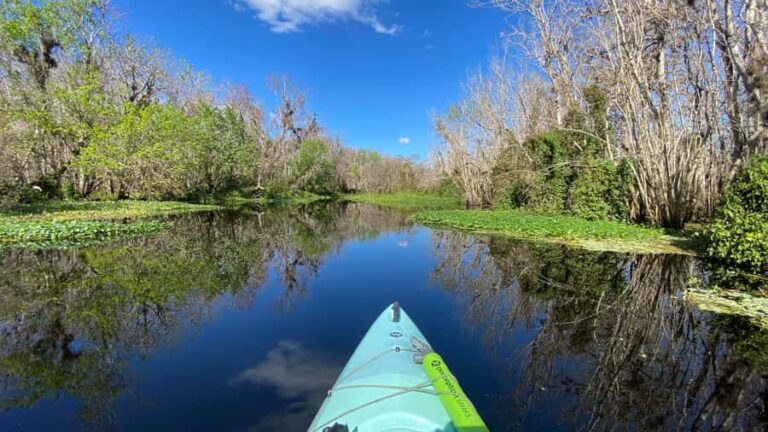 Orange City: Blue Spring State Park Guided Kayak Tour - Who Will Love This Tour?