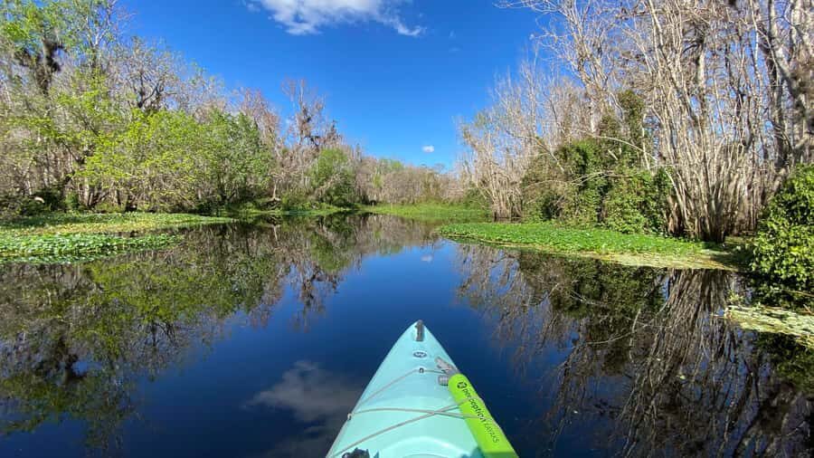 Orange City: Blue Spring State Park Guided Kayak Tour - Who Will Love This Tour?