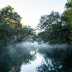 Orange City: Blue Spring State Park St. Johns River Cruise - Practical Details and Tips