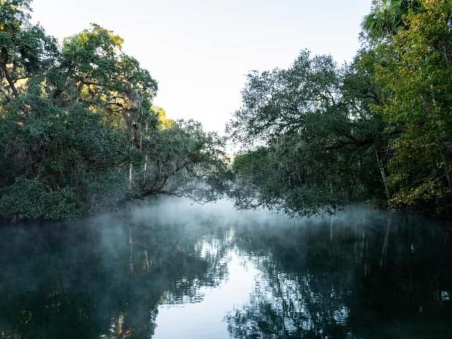 Orange City: Blue Spring State Park St. Johns River Cruise - Practical Details and Tips