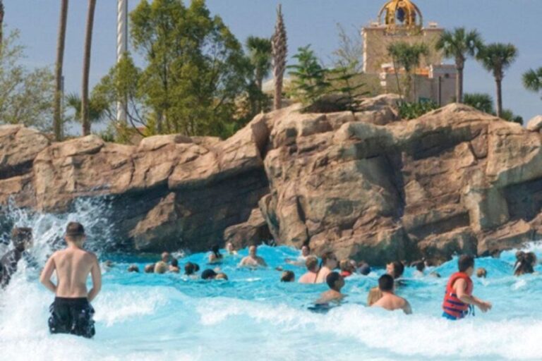 Orlando: Aquatica Water Park Admission Ticket - Who Will Love Aquatica?