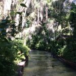 Orlando: City Highlights and Hidden Gems Tour - Scenic Boat Cruise in Winter Park