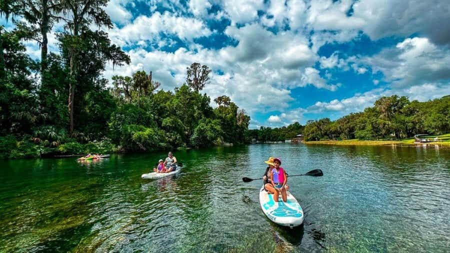 Orlando: Lake Conway Paddle Board or Kayak Tour - Wildlife Watching and Nature Connection