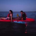 Orlando: Magic After Dark Bioluminescence Kayak Tour - The Itinerary and Experience Breakdown