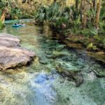Orlando: Rock Springs Tubing & Apopka Wildlife Trail Tour - Practical Details and Tips