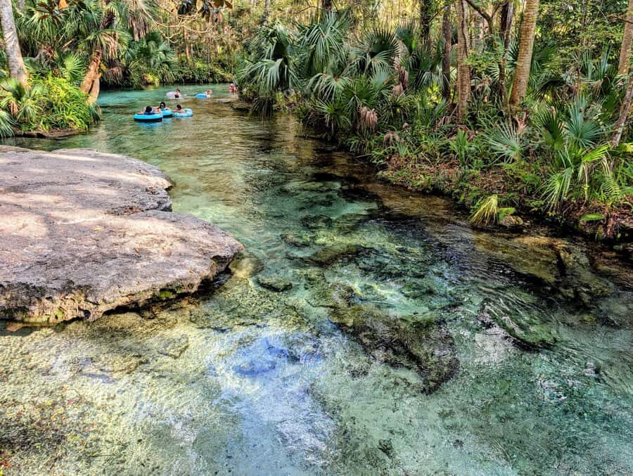 Orlando: Rock Springs Tubing & Apopka Wildlife Trail Tour - Practical Details and Tips