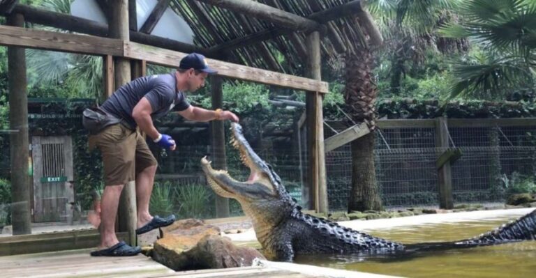 Orlando: Wild Florida Park Ticket and Gator Shows - Exploring the Animal Encounters and Shows