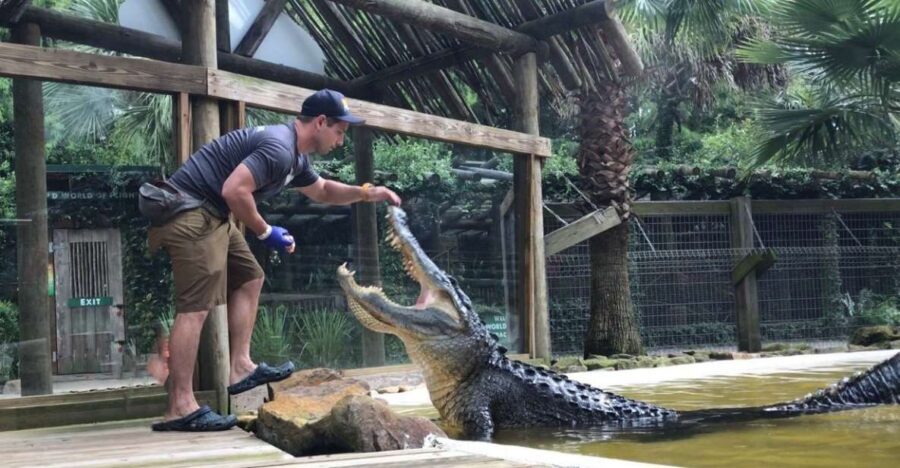 Orlando: Wild Florida Park Ticket and Gator Shows - Exploring the Animal Encounters and Shows