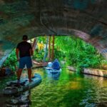 Orlando: Winter Park Paddle Adventure - What to Expect on the Tour