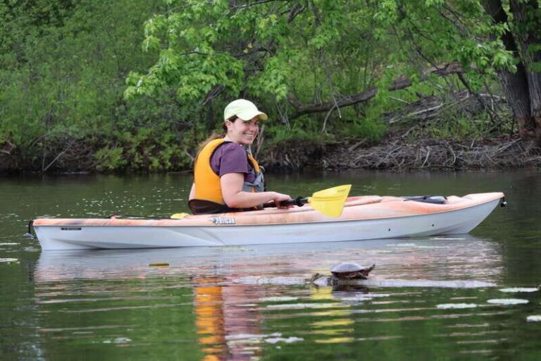 Ottawa: Ecological Reserve Kayak Tour with Turtle Sightings - The Experience in Detail: A Step-by-Step Breakdown