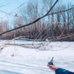 Ottawa: Guided Nature Walk & Wildlife Tour with Hotel Pickup - Why This Tour Works for Travelers