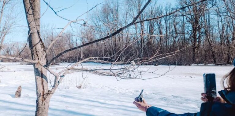 Ottawa: Guided Nature Walk & Wildlife Tour with Hotel Pickup - Why This Tour Works for Travelers