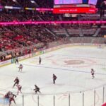 Ottawa: Ottawa Senators Ice Hockey Game Ticket - Who Should Consider This Experience?