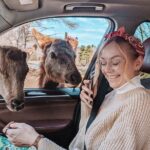 Ottawa Parc Omega Private Tour with Hotel Transfer - Who Will Enjoy This Tour?