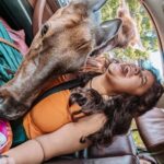 Ottawa: Private Wildlife Adventure Safari in Parc Omega - Who Will Love This Tour?