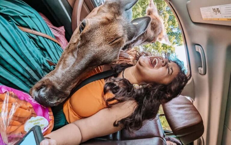 Ottawa: Private Wildlife Adventure Safari in Parc Omega - Who Will Love This Tour?