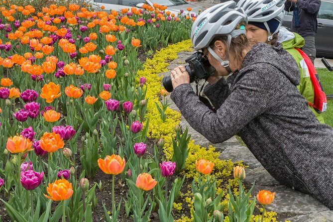 Ottawa Spring Tulip Festival Bike Tour - Exploring Ottawas Most Stunning Spots