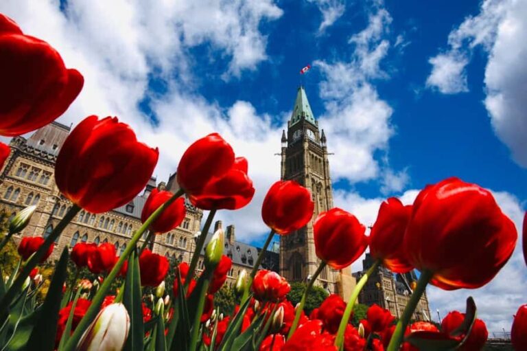 Ottawa: Tulip Festival and ByWard Market Tour - Discovering the ByWard Market