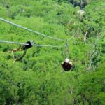 Outdoor and Zipline Adventure in Baja California - What the Tour Looks Like: From Pickup to Tasting
