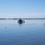 Outer Banks: Bodie Island Clear Kayak Tour - What to Expect from Your Kayaking Experience