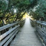 Outer Banks: Explore the OBX with a Local Photographer - Practical Tips for Travelers