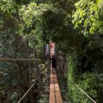 Outfitters Kauai: EXCLUSIVE Waterfall, Kayak and Zipline Safari - What Travelers Say