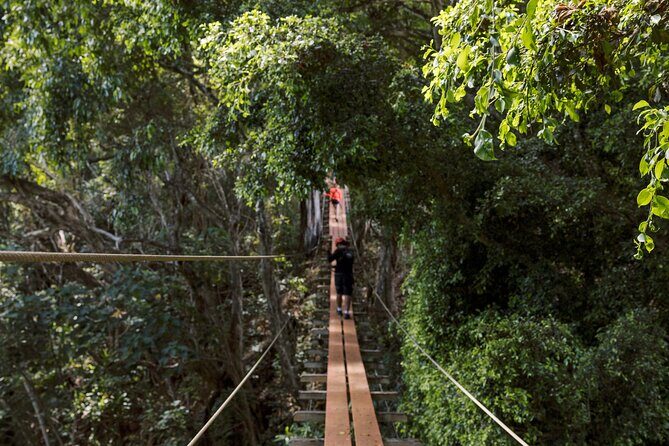 Outfitters Kauai: EXCLUSIVE Waterfall, Kayak and Zipline Safari - What Travelers Say