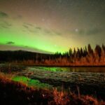 Overnight Denali National Park plus Aurora Chase Tour - Who Is This Tour Best Suited For?