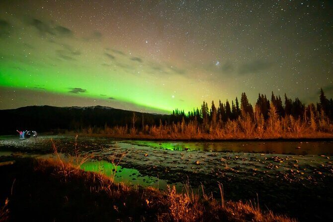 Overnight Denali National Park plus Aurora Chase Tour - Who Is This Tour Best Suited For?