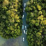 Paddle Board at Dawn in Yucatan - Who Will Love This Tour?