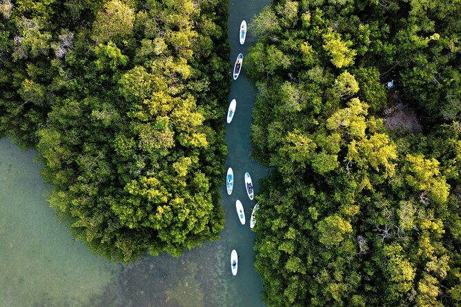 Paddle Board at Dawn in Yucatan - Who Will Love This Tour?