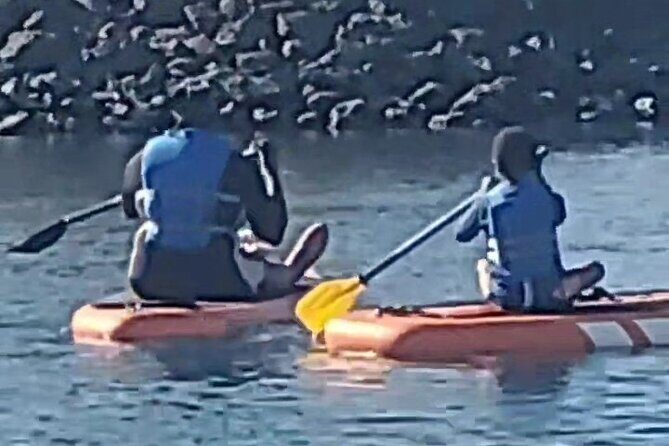 Paddle Board Picnics Lessons Rentals and Outdoor Adventures - FAQ