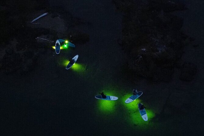 Paddle Out at Dusk for Glow Night Cruise in Gordon Bay - The Experience in Detail