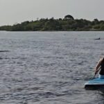 Paddle With Native Wildlife - The Itinerary Breakdown