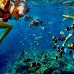 Paddleboard and Snorkeling Experience in Los Arcos - Practical Details and Tips